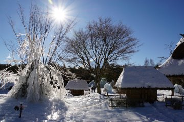 <p>Beautiful winter wonderland at Yachonomori Park</p>