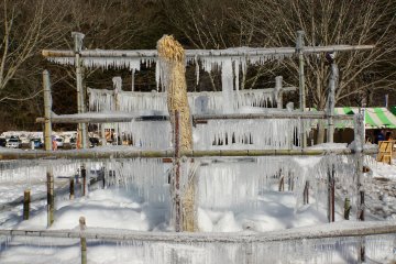 <p>An icicle covered bamboo structure</p>