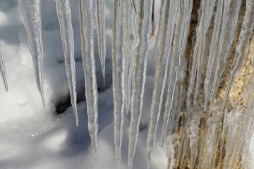 <p>Icicle pops!</p>