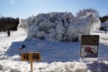 <p>There are Ice Tree signs throughout the park, but you can also use your imagination!</p>