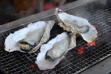 Grilling Oysters in Shiogama