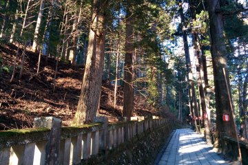 <p>Along the pathway, family names are carved into the stone fence.</p>