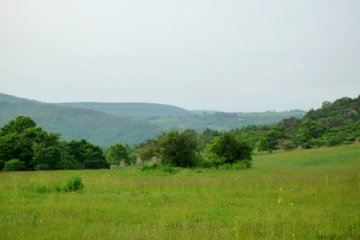 <p>Taneyamagahara stretches beyond the horizon</p>