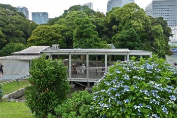 The Hama-rikyu Garden docking area.