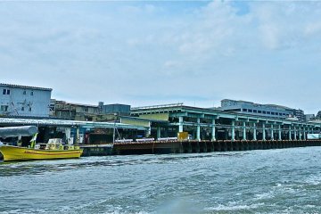 That's the Tsukiji Fish Market on the left.