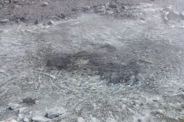 <p>Air panas mendidih dari bawah permukaan bumi</p>