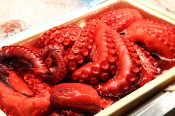 Octopus