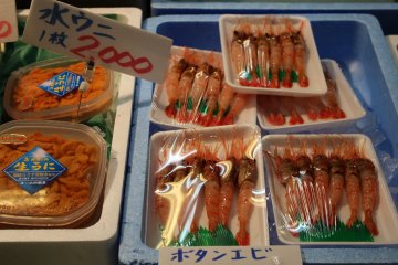 Sea urchin and shrimp