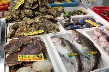 Various fresh seafood
