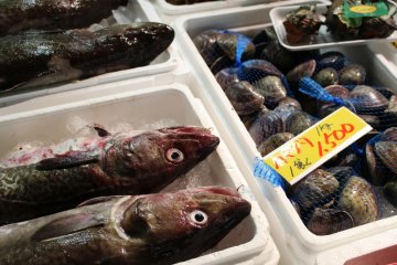 Various fresh seafood