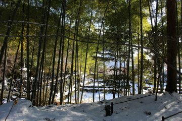 <p>Cedar Grove</p>