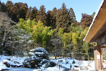 <p>Cedar Grove</p>