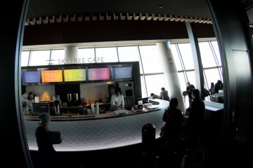 <p>The viewing deck has a couple of floors and stairs that you can go up and down on, and on the second floor under the main deck there's a coffee shop as well as some chairs and tables.</p>