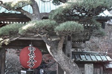Kuil Hase Kamakura di Bulan Januari