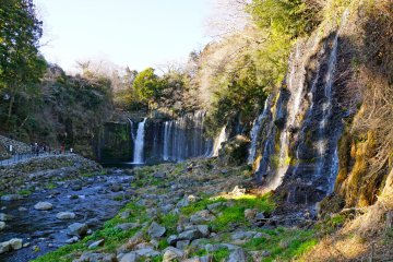 Les chutes Shiraito en hiver