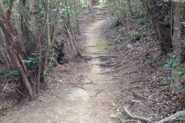 <p>The path is quite well cleared.</p>