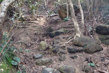 <p>There's a little bit of adventure involved, so I'd advise against wearing sandals!</p>
