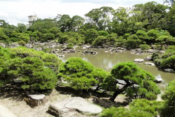 <p>The beautiful Shotoen, the garden in the center of the property</p>