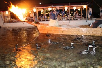 Cormorant Fishing in Nagara River