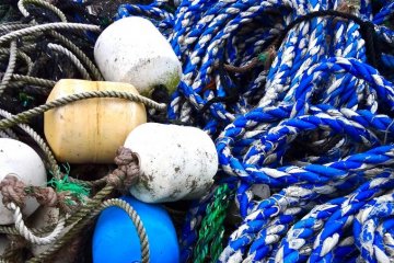 Kamakura’s Koshigoe Fishing Port