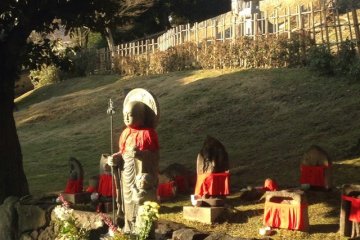 <p>Bagian dari taman di dekat Kofuku-ji</p>