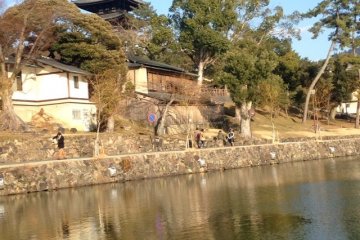 <p>Kolam kecil di dekat Kofuku-ji</p>