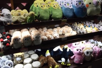 <p>Buy us! Take us home!</p>