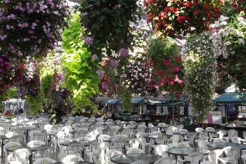 <p>Here's where the buffet happens</p>