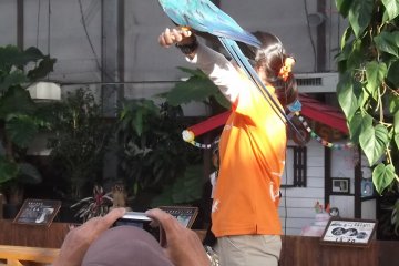 <p>Showing off a parrot at the Bird Show</p>