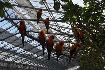 <p>Be careful as you walk underneath</p>