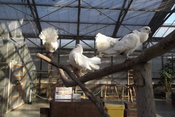 <p>Now let's all face in different directions</p>