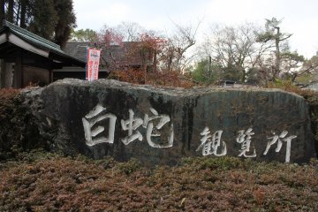 <p>shiro hebi: white snake</p>