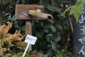 <p>a small water treatment in a peaceful garden</p>