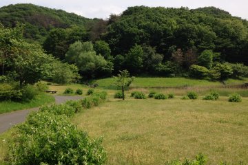 This is an area of the park with pavilions and picnic tables. Who could ask for a better picnic spot..