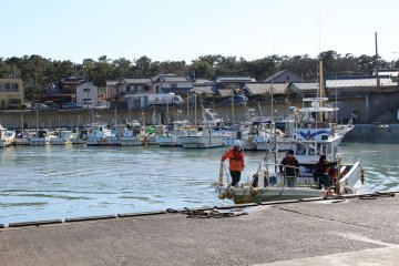 <p>Tagonoura Port</p>
