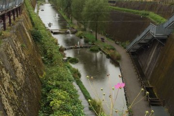 <p>Spring water flowing out from the tunnel</p>