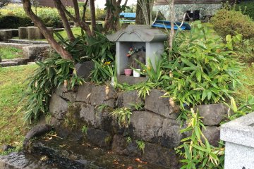 <p>Many people draw water from Mt. Aso here</p>