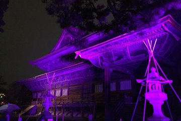 <p>The left side in purple</p>