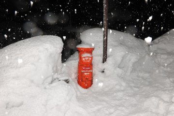 <p>A flash of red in a black and white world. By morning it would be buried in snow, too!</p>