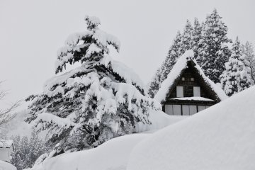 Jepang Kuno yang elok di Toyama