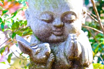 <p>Un gar&ccedil;on et son lapin</p>