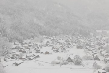<p>I want to burn this beautiful scene into my memory!</p>