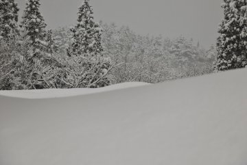 <p>How picturesque!</p>