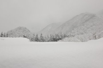 <p>I wanted to capture absolutely everything in my camera before going home</p>