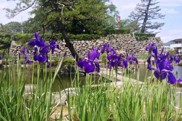 <p>Irises frame one of the many gardens here.</p>
