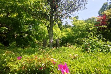 <p><span style="line-height: 20.8px;">A gentle breeze awakens your spirit in this spacious and unhurried garden</span></p>
