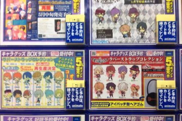 <p>Accessories of all descriptions at Animate</p>
