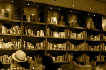 Bookcases inside
