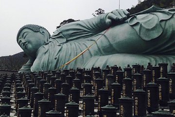 난조인 (南蔵院)