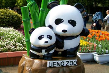 <p>Near the entrance of Ueno Zoo</p>